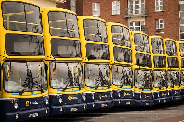 Bus